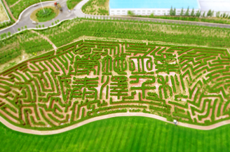 NLC����(�й�)����