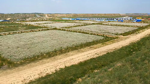 NLC����(�й�)����