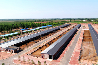 NLC����(�й�)����